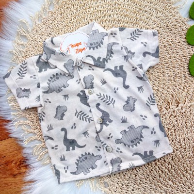 Conj. Camisa Dinosaurs e Bermuda - Verde